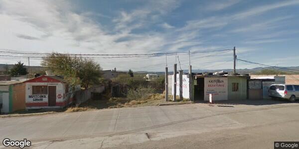 INSPECCIÓN DE GANADO